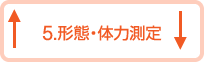 5.形態・体力測定